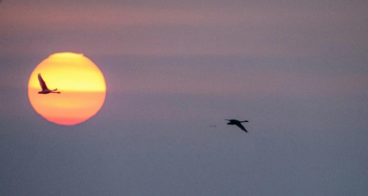 高空冒险，体验以夕阳热气球的刺激与浪漫（攻略指南带你玩转以夕阳热气球）