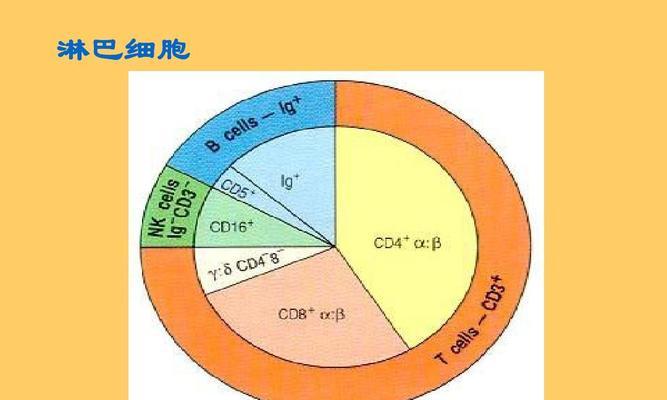 《探索自我，与细胞相伴49天》（通过游戏体验生命奥秘）