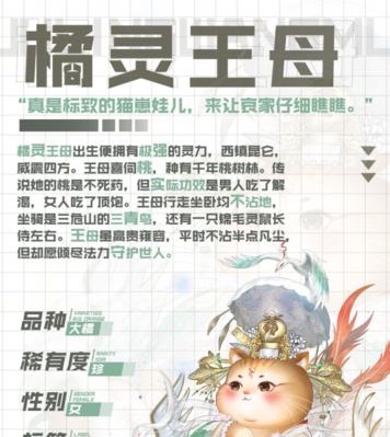 《以灵猫传》传光玉获取攻略详解（探寻传光玉的秘密）